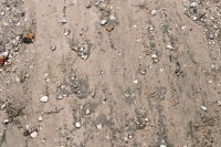 http://www.virguleflottante.com/files/gimgs/th-18_Capture d’écran 2019-04-06 à 04_19_42.jpg